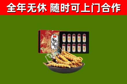 铜梁区回收冬虫夏草价格